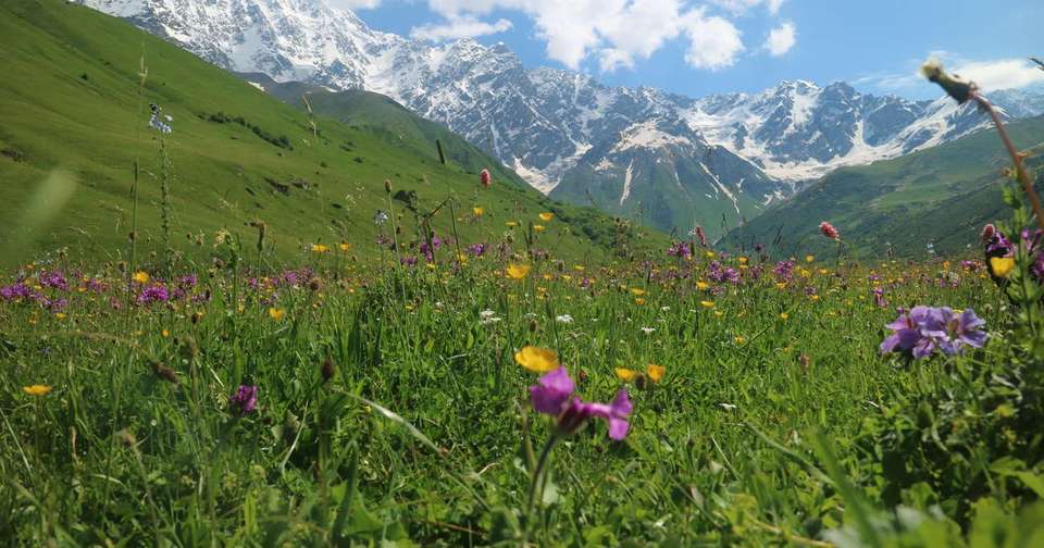 Hiking in the Georgian Caucasus - Explore - Georgia - Image 4
