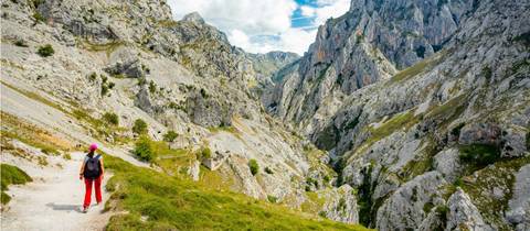 Hiking In The Picos De Europa - July 2026