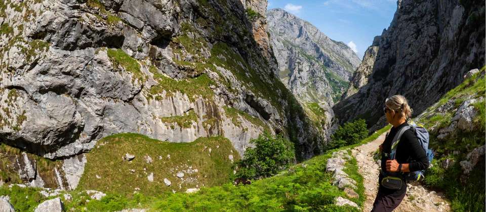Hiking in the Picos de Europa - Utracks - Spain - Image 4