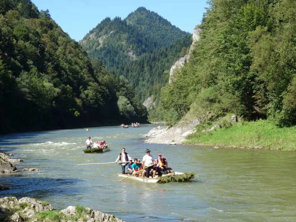 Image 11 of 14