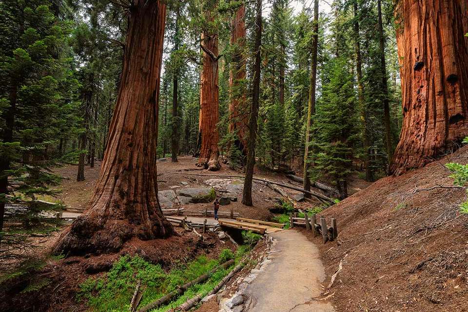 Hiking in Yosemite National Park - Intrepid Travel - USA