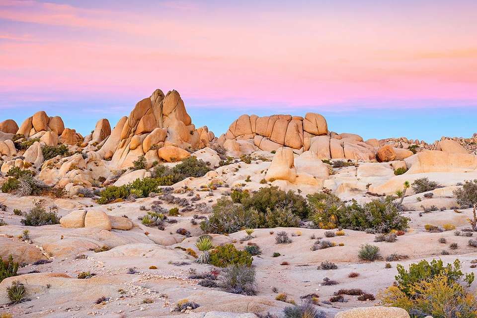 Hiking the best of Death Valley & Joshua Tree - undefined - Image 2