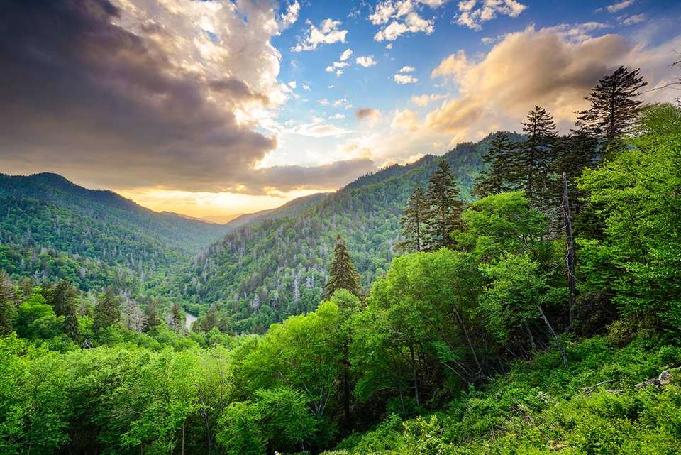 Hiking the Best of Great Smoky Mountains National Park - undefined - Image 3