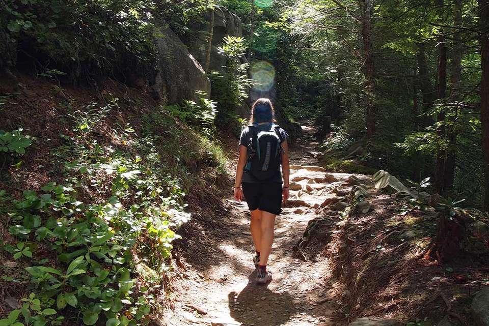 Hiking the Best of Great Smoky Mountains National Park - undefined - Image 4