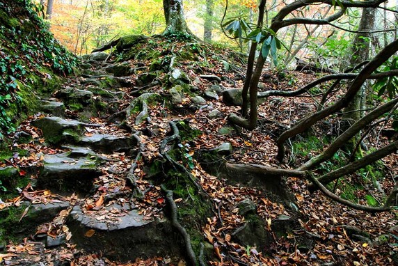 Image 5 of 6