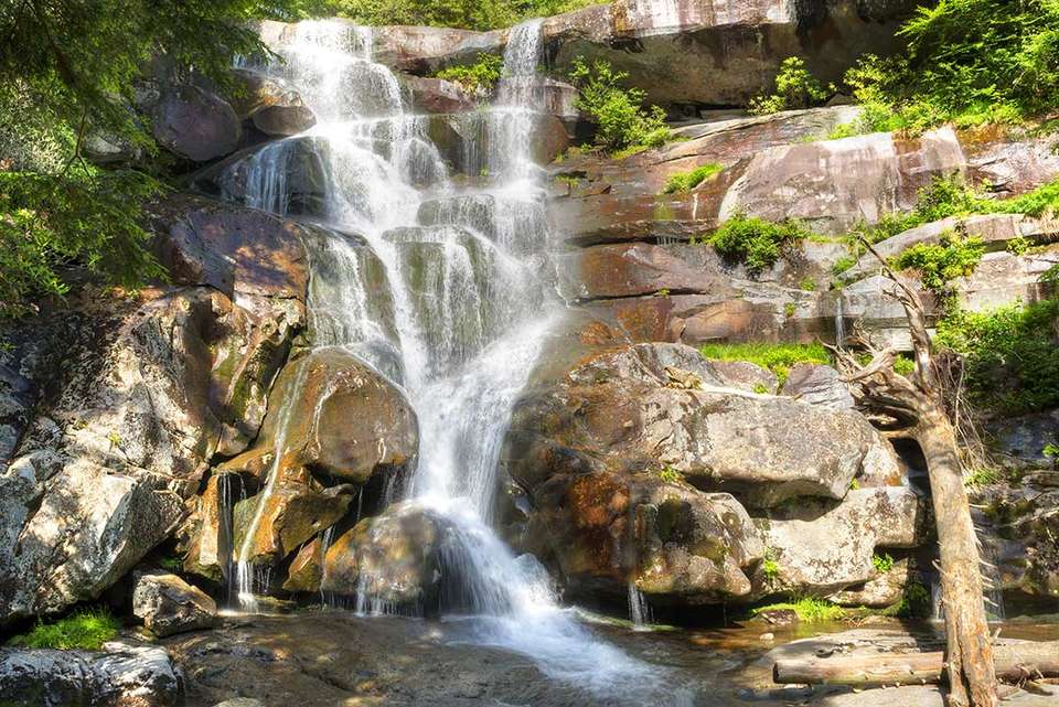 Hiking the Best of Great Smoky Mountains National Park - undefined - Image 6