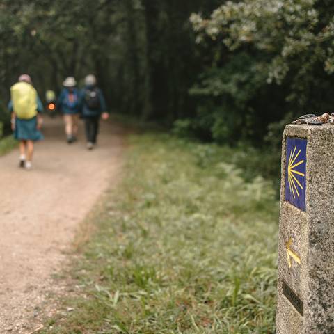 Hiking The Camino De Santiago - Spring Tours