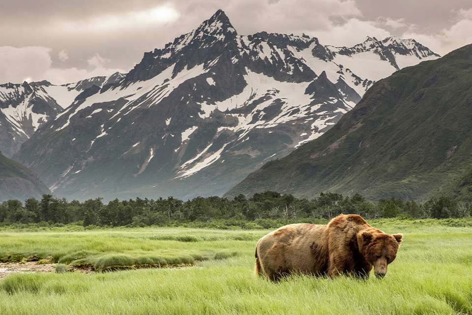 Hiking the Great Land of Alaska - Intrepid Travel - USA - Image 5