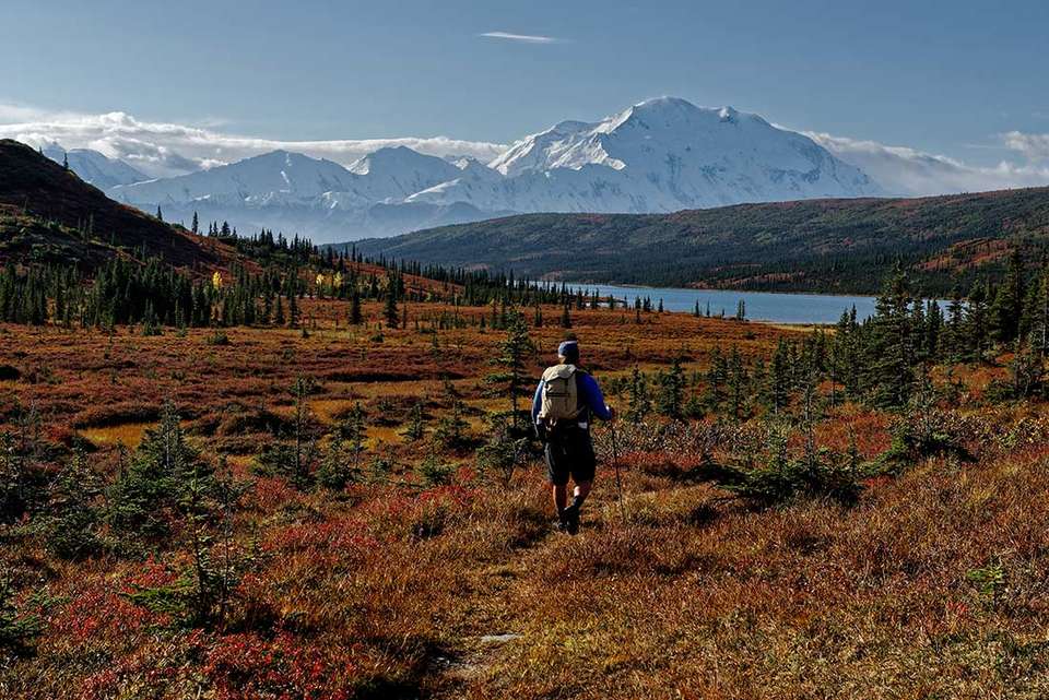 Hiking the Great Land of Alaska - Intrepid Travel - USA - Image 6