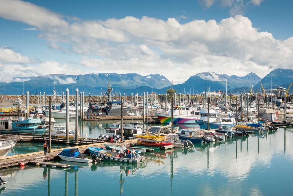 Hiking the Great Land of Alaska - Intrepid Travel - USA - Image 9