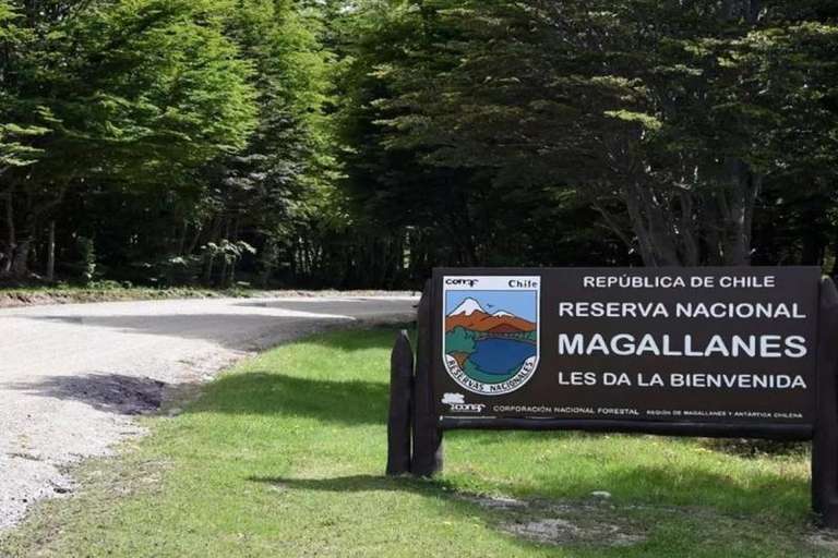 Hiking the Magallanes Forest Reserve trip - alternative tour available