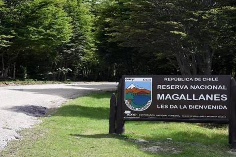 Chile Explorer Tour: Hiking The Magallanes Forest Reserve