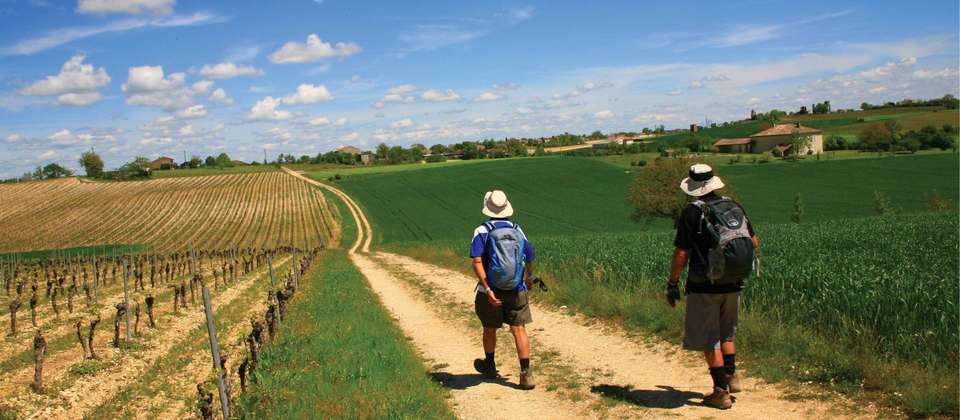 Hill Top Villages of  Medieval Tarn - Walkers' Britain - France - Image 8
