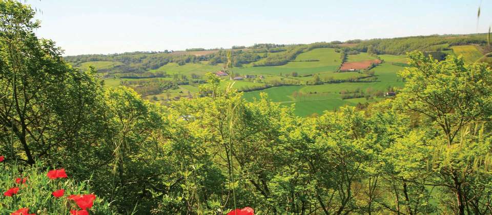 Hill Top Villages of  Medieval Tarn - Walkers' Britain - France - Image 11