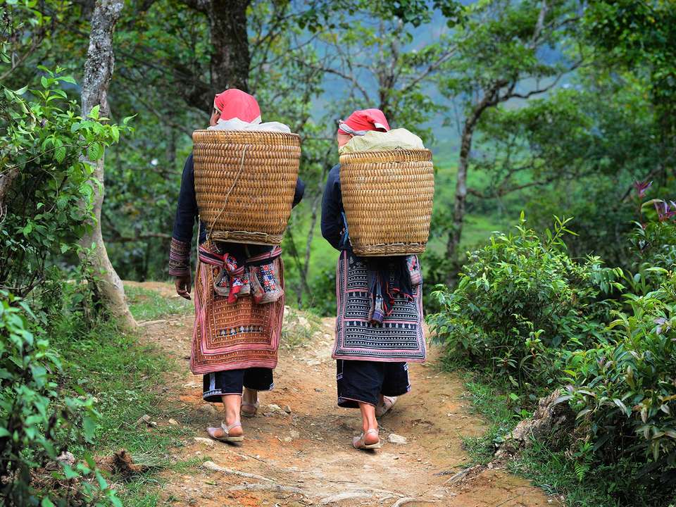 Hill Tribes, Halong Bay & Beyond - 13 days - On The Go Tours - Vietnam - Image 2