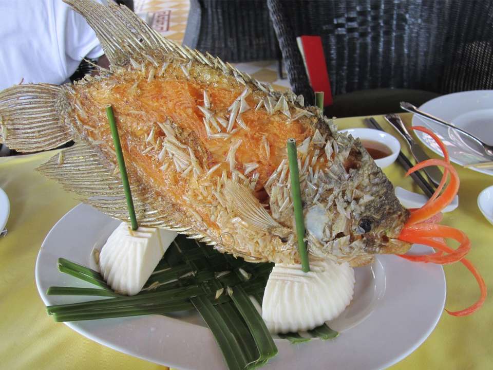 Hill Tribes, Halong Bay & Beyond - 13 days - On The Go Tours - Vietnam - Image 7