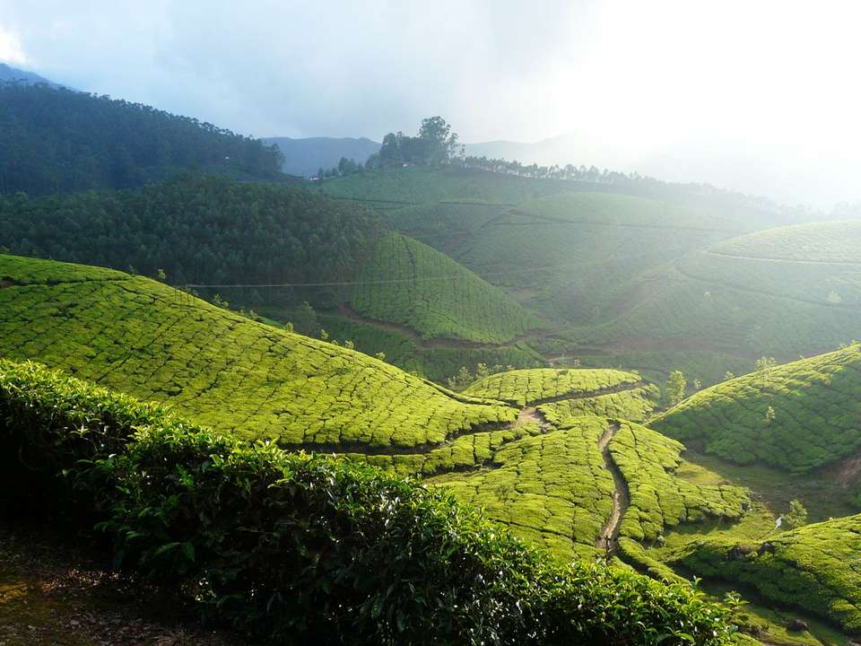 Hills and High Places - 16 days - On The Go Tours - India - Image 2