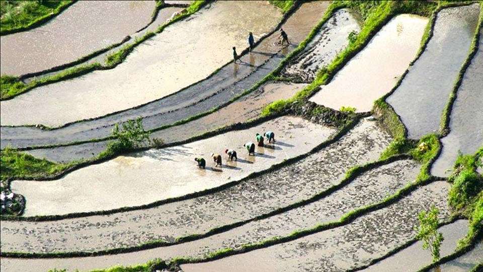 Himalayan Kingdoms - Encounters Travel - Nepal - Image 3
