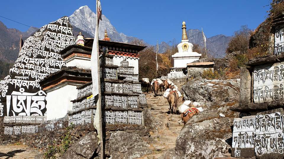 Everest View Trek - Travel Max Guide - Nepal - Image 4
