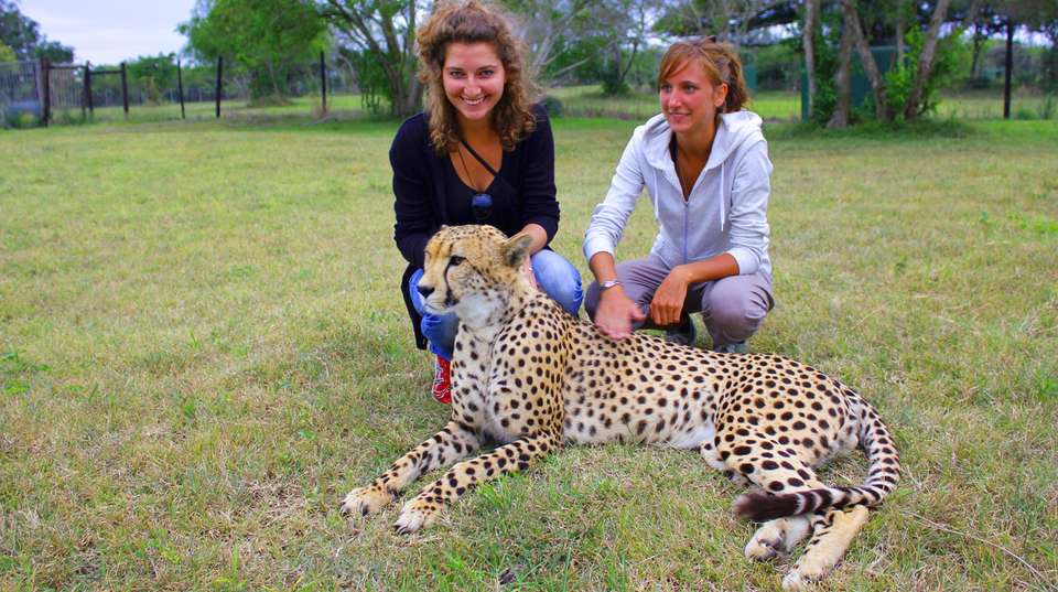 Hluhluwe Imfolozi Safari & Emdoneni Wild Cat Tour - Zulu Safaris - South Africa - Image 2
