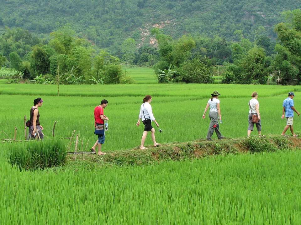 Ho Chi Minh City to Hanoi & Mai Chau - 12 days - undefined - Image 9