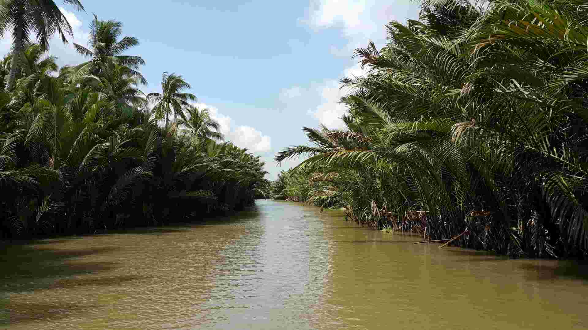 Ho Chi Minh - My Tho 1 Day Trip