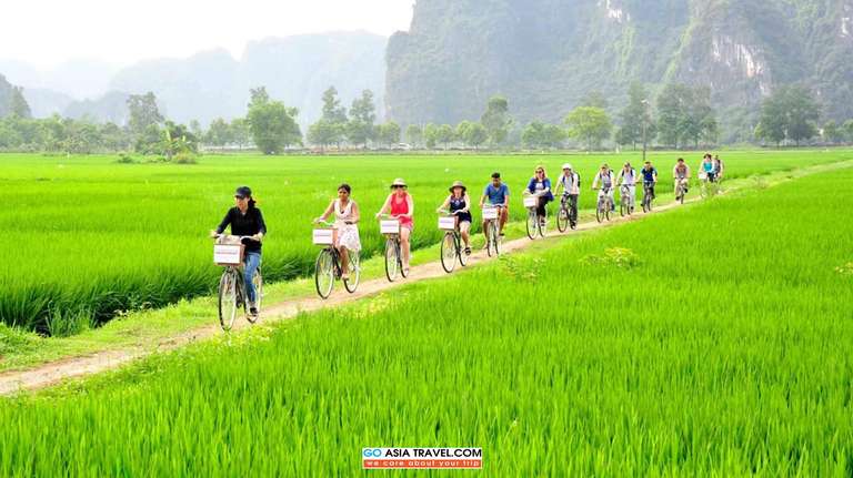 Hoa Lu - Tam Coc - Cycling - Mua Cave with Transfer trip - alternative tour available