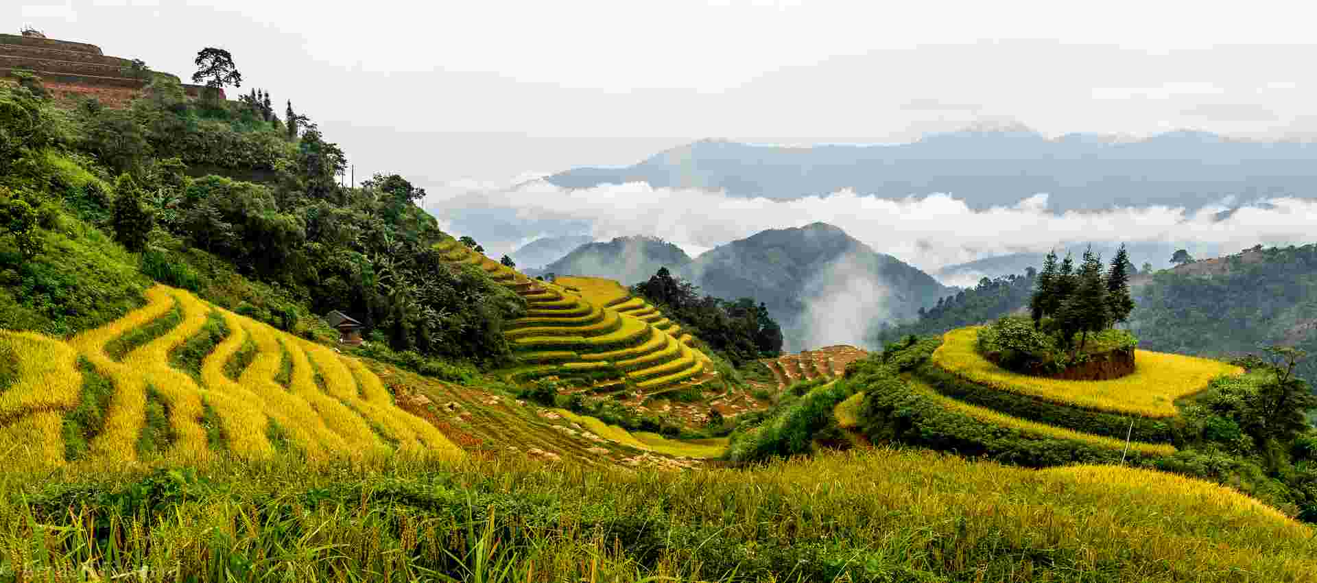 Hoang Su Phi Terraced Fields Trekking 4 Days 3 Nights