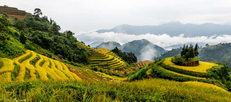 Hoang Su Phi Terraced Fields Trekking 4 Days 3 Nights trip - alternative tour available
