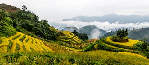 Hanoi Walking Tour: Hoang Su Phi Terraced Fields Trekking 4 Days 3 Nights