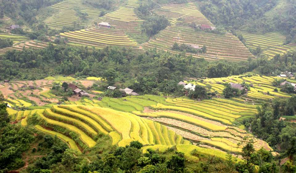 Hoang Su Phi Terraced Fields Trekking 4 Days 3 Nights - Mr Linh's Adventures - Vietnam - Image 2