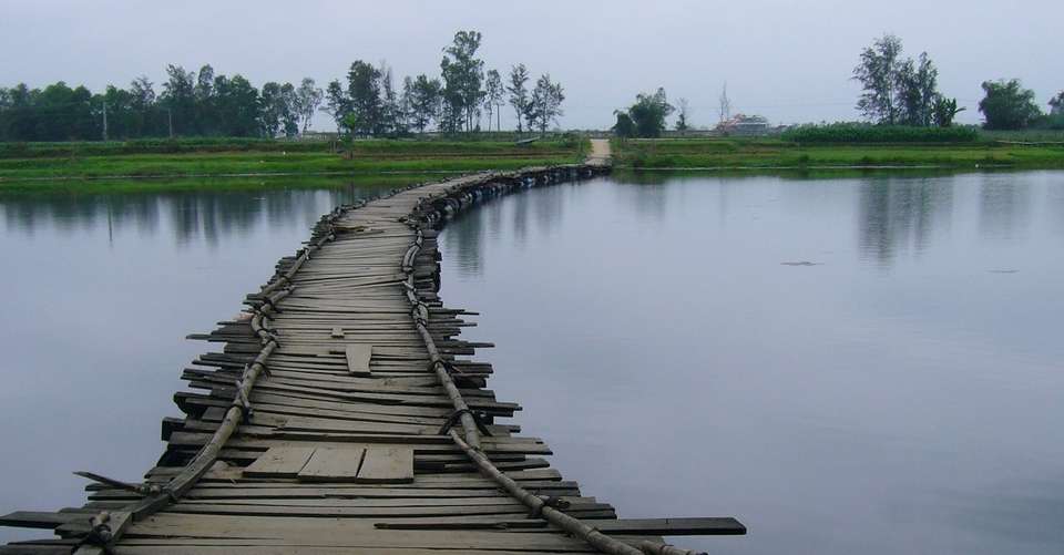 Hoi An - Half Day Mountain Bike Ride - Heaven & Earth Tours - Vietnam - Image 3