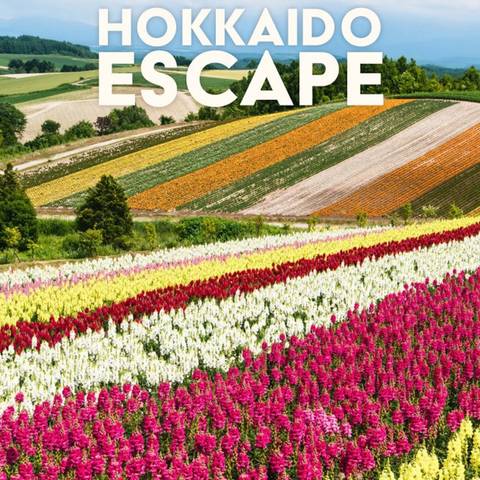 Hokkaido Escape - Summer Tours