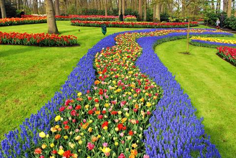 Europe Senior Travelers Tours: Holland And Belgium Springtime River Cruise