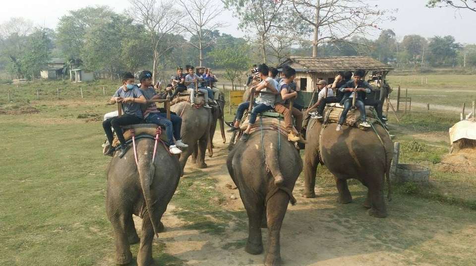 Honeymoon Tour in Nepal - Nepal Lion Tours And Treks Pvt Ltd - Nepal - Image 4