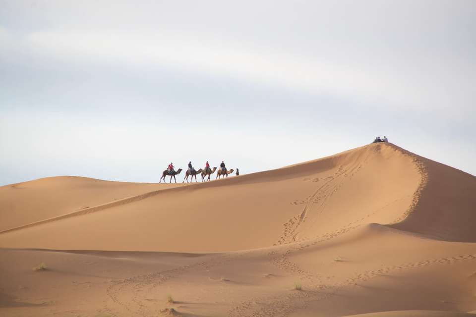 Morocco Honeymoon Journey: Marrakech, Sahara, Chefchaouen - Bamba - Morocco - Image 2