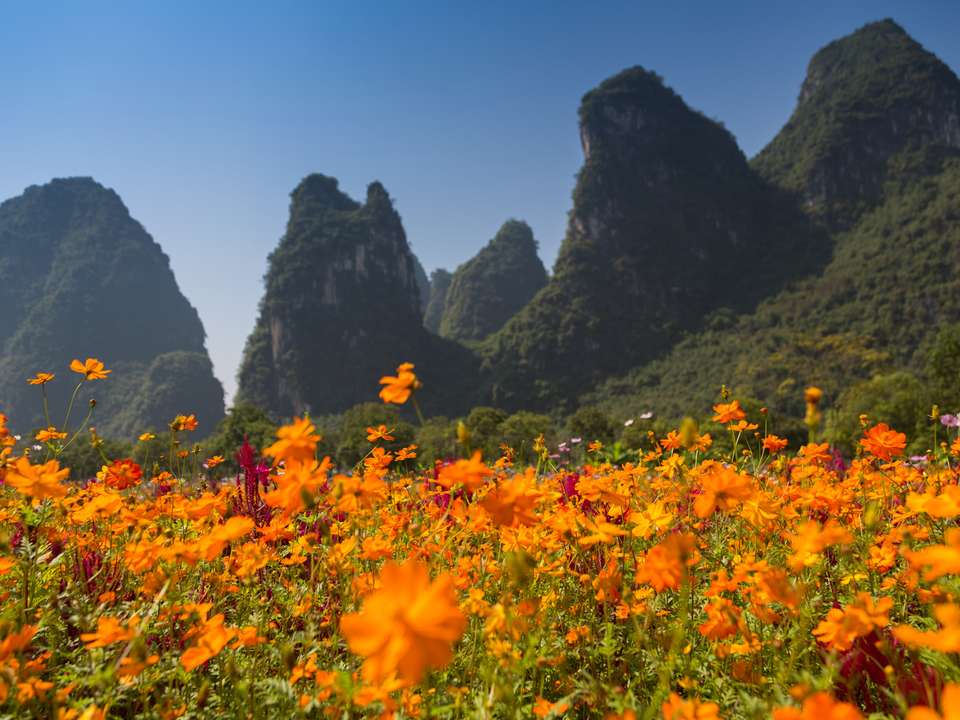 Hong Kong to Beijing - 18 days - On The Go Tours - Hong Kong