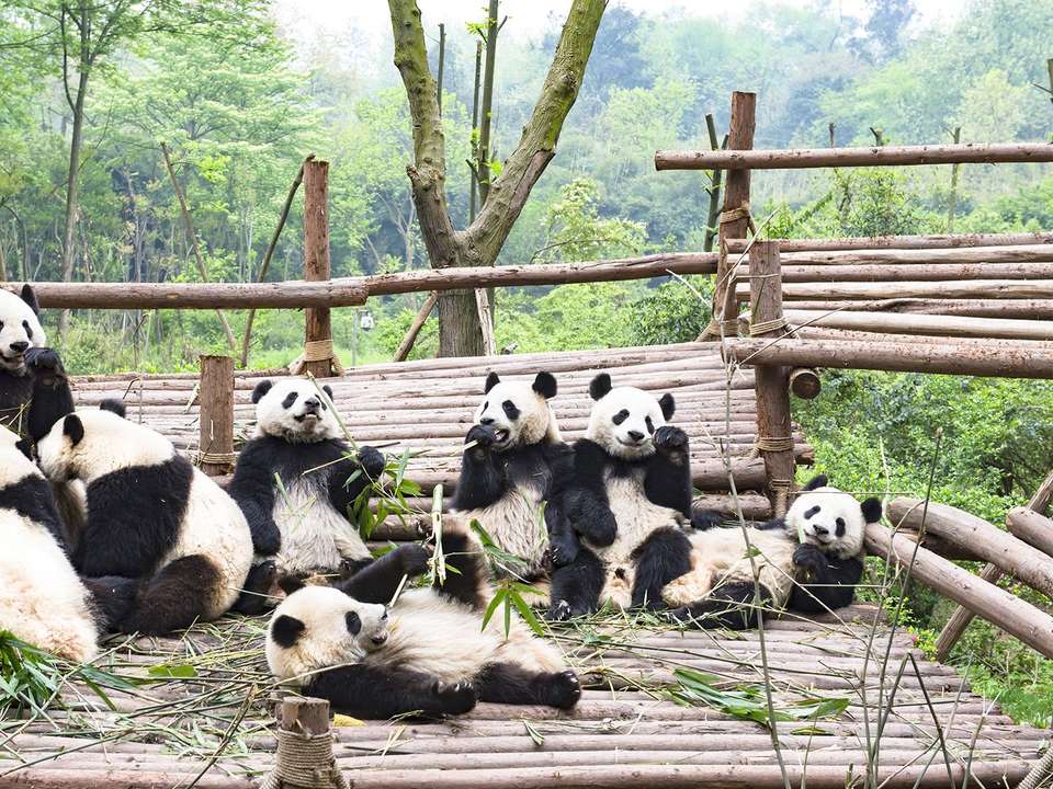Hong Kong to Beijing - 18 days - On The Go Tours - Hong Kong - Image 8