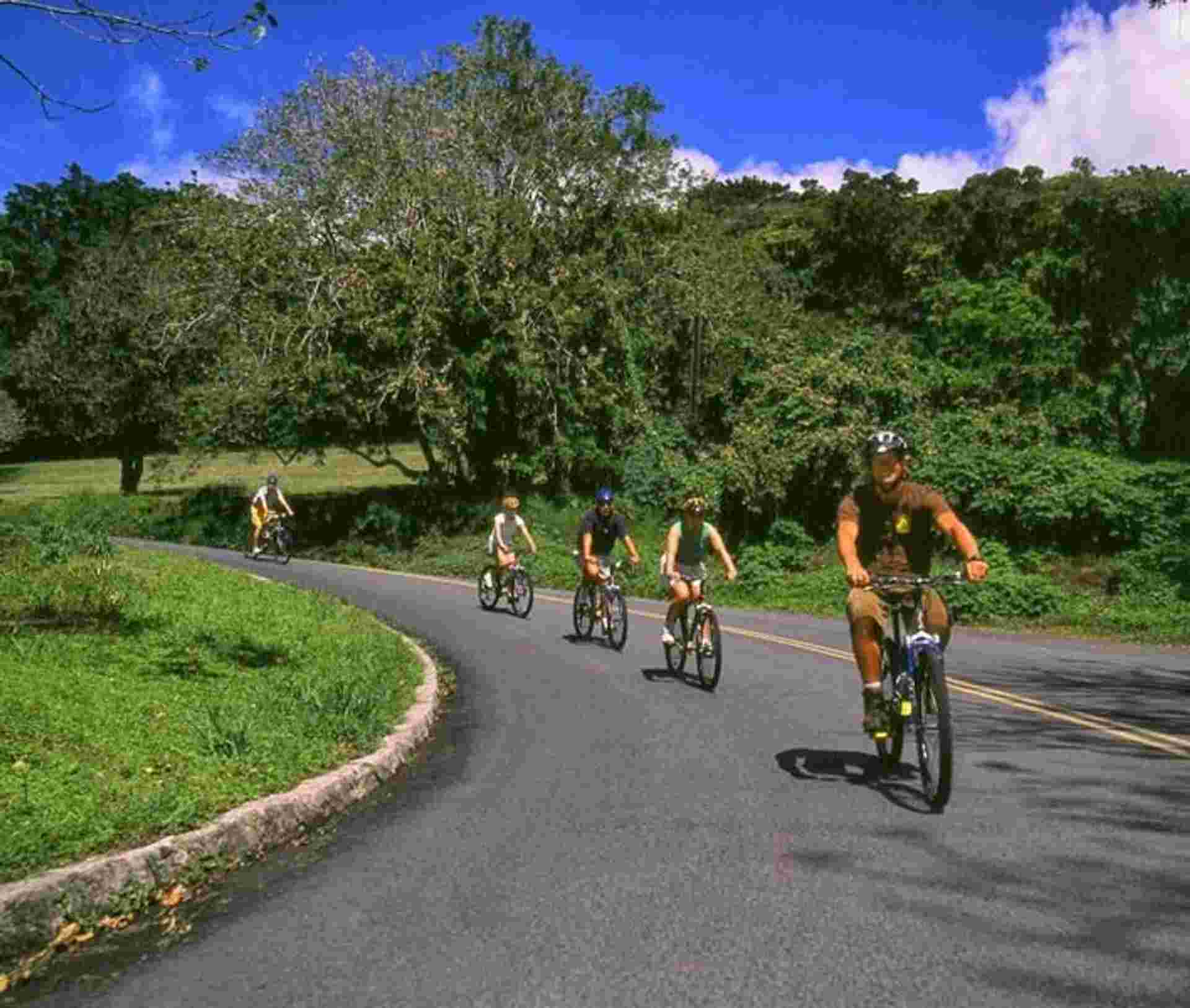 Honolulu Hawaii Experience 4D/3N