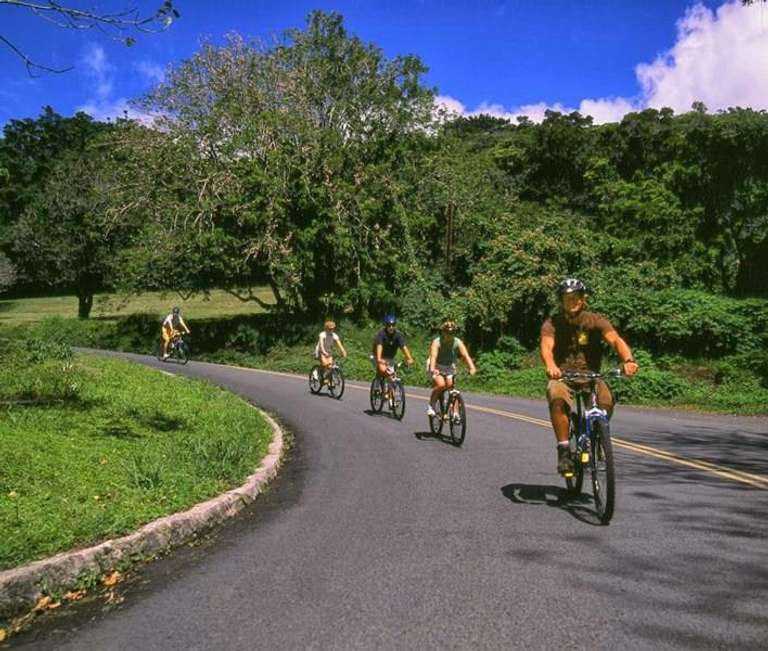 Honolulu Hawaii Experience 4D/3N trip - alternative tour available