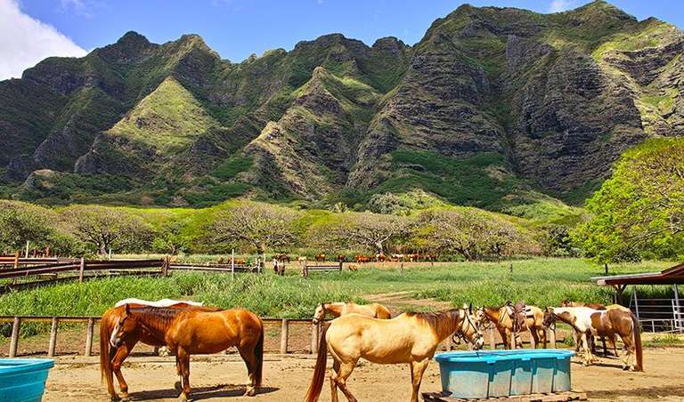 Honolulu Hawaii Experience 7D/6N