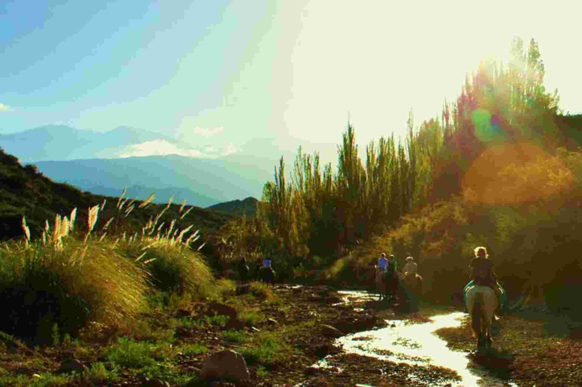 Horseback Ride in the Andes Mountains at sunset from Mendoza