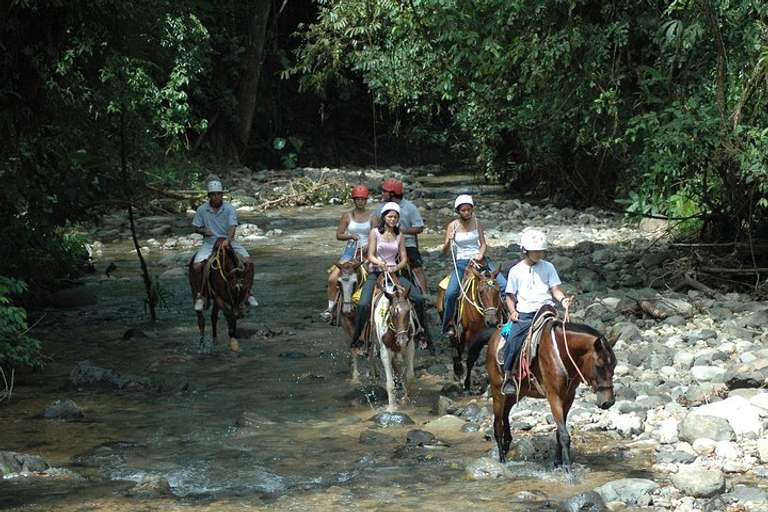 Horseback Riding From Manuel Antonio trip - alternative tour available