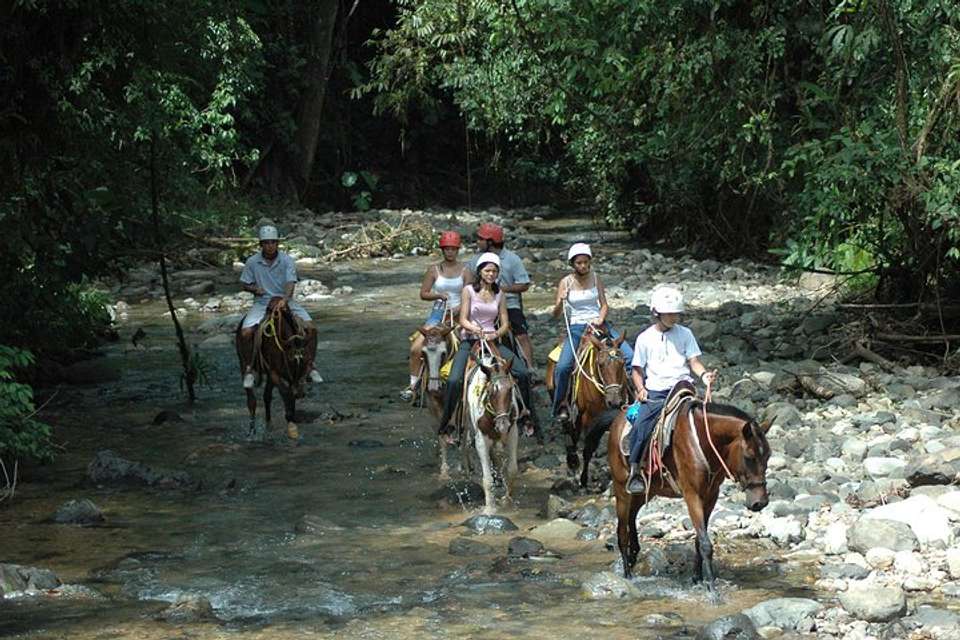 Horseback Riding From Manuel Antonio - Destination Services - Costa Rica - Image 1