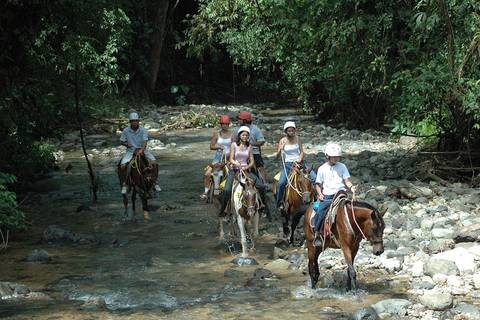 Horseback Riding From Manuel Antonio - Spring Tours