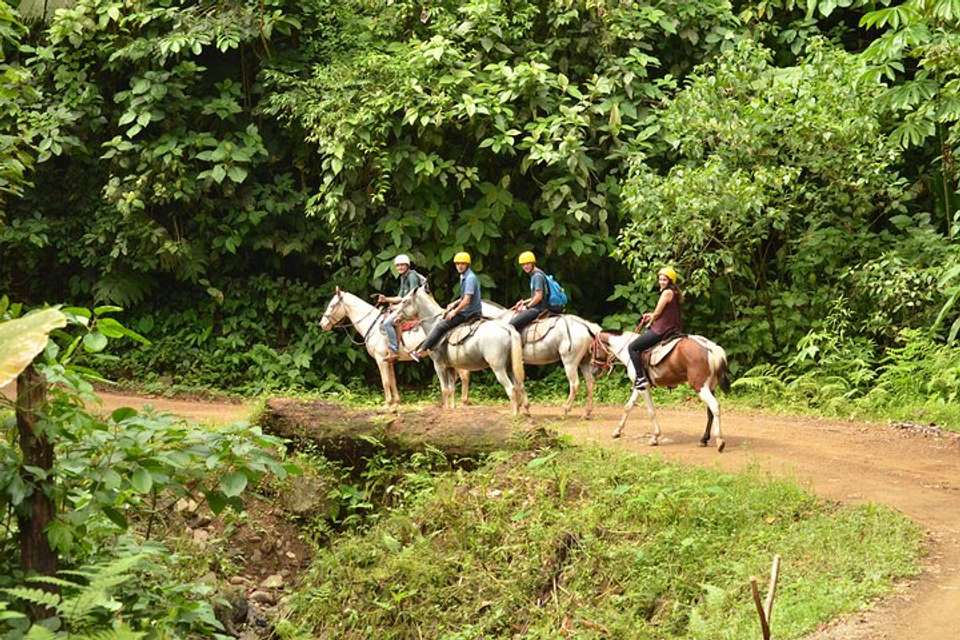 Horseback Riding From Manuel Antonio - Destination Services - Costa Rica - Image 3