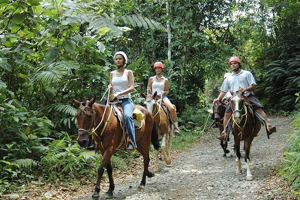Horseback Riding From Manuel Antonio - Destination Services - Costa Rica - Image 6