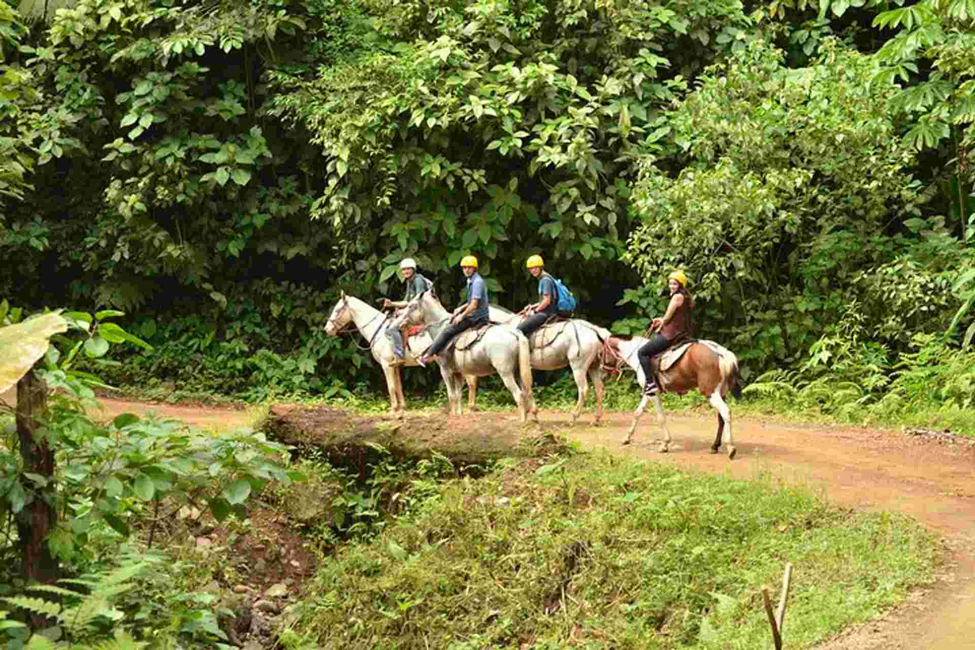 Horseback Riding From Jacó