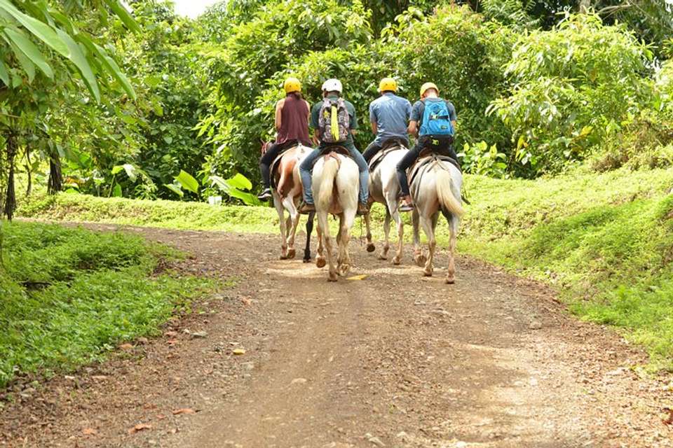 Horseback Riding From Jacó - Destination Services - Costa Rica - Image 5