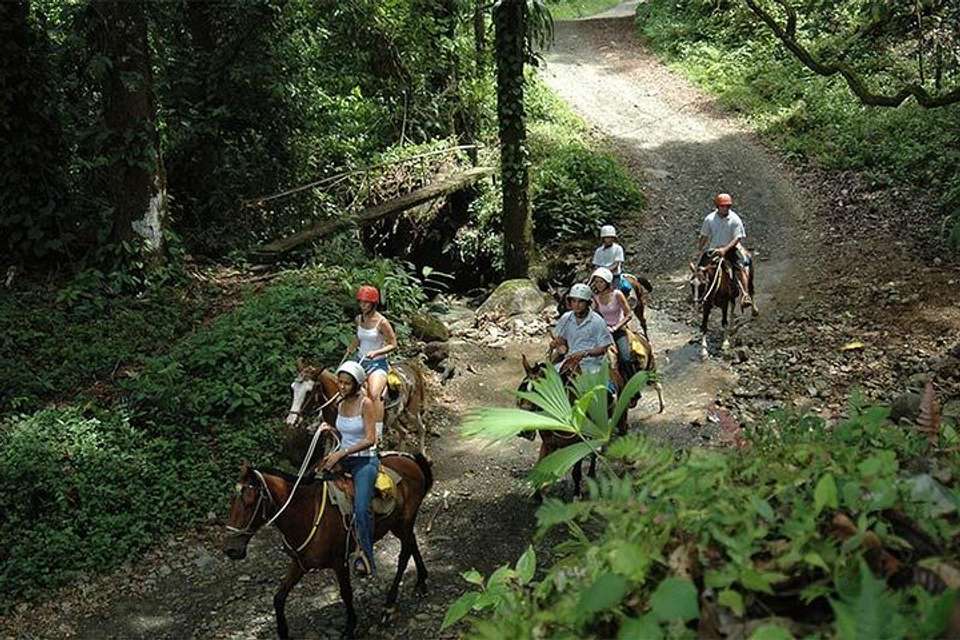 Horseback Riding From Jacó - Destination Services - Costa Rica - Image 9